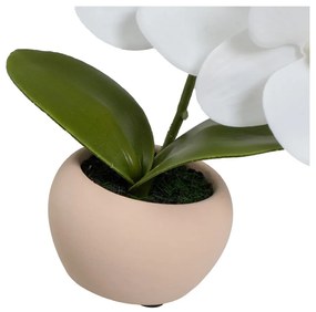 Műnövény szett 3 db-os (magasság 15 cm) Orchid – Casa Selección