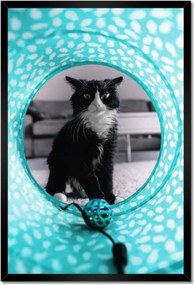 Poszterek keretben 40x60