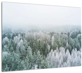 Kép - Havas erdőcsúcsok (üvegen) (70x50 cm)