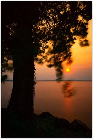 Poszterek 60x90 Fa Napnyugta