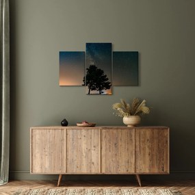 Egy éjszakai égbolt fákkal képe (90x60 cm)