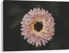Narancsságra virág képe (70x50 cm)