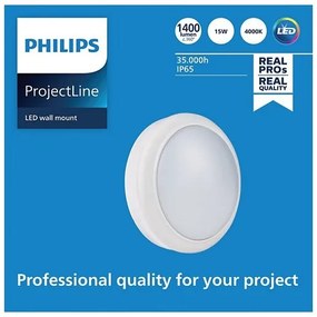 Philips - LED Fali lámpa PROJECTLINE LED/15W/230V IP65