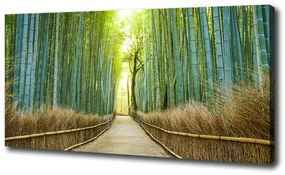 Vászon nyomtatás Bambusz erdő oc-72519653