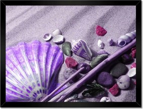 Poszterek keretben 40x30 Lila kagyló