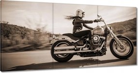 Képek 180x90 Harley Davidson Motorkerékpár