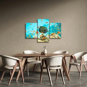 A víz alatti világ képe (90x60 cm)