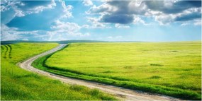 Fotótapéta üvegfalra Ösvény a réten 140x70