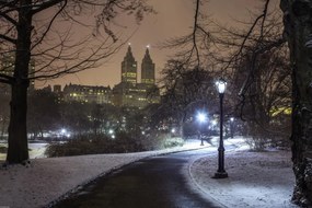 Poszter 60x40cm Ösvény a központi parkon át, Assaf Frank
