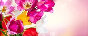 Tulipán képe (120x50 cm)