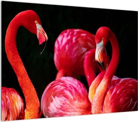 Vörös flamingók képe
 (üvegen) (70x50 cm)