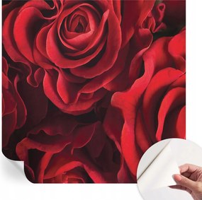 Dekoratív öntapadós fotótapéta Hálószobába Vörös rózsák 250x250 cm