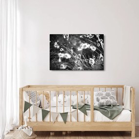Kép - Pókháló a réten (90x60 cm)