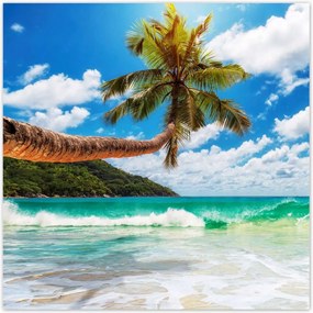 Poszterek 140x140 Trópusok Tájkép Pálmafák