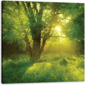 Vászonkép Pasztell Stílus Napfa 60X60 cm Ajándéknak is tökéletes