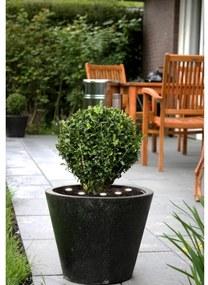 Eglo 900117 - SPINETOLI kültéri LED dekorációs lánc 6xLED IP65