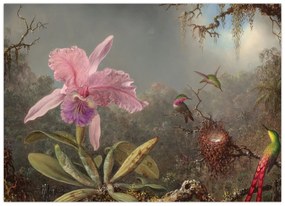 Kép - Martin Johnson Heade, Cattleya Orchid and Three Hummingbirds, reprodukciók (70x50 cm)