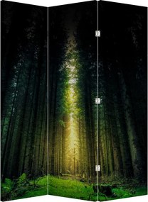 Paraván - Sötét erdő (126x170 cm)
