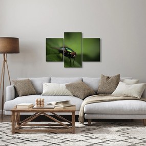 Kép - Légy (90x60 cm)