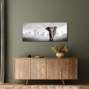 Kép -Elefánt egy nagyvárosban, fekete-fehér változat (120x50 cm)