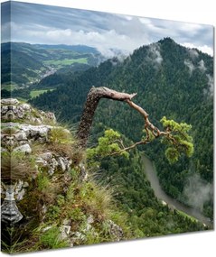 Festmények 20x20 Tájkép Sólyomkő