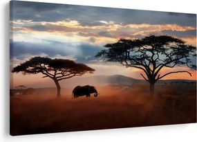 Kép - Serengeti Nemzeti Park, Tanzánia, Afrika (90x60 cm)