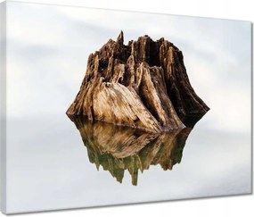 Vászonkép 40x30 Sziget a tavon