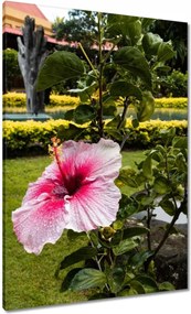 Vászonkép 70x100 Virágok