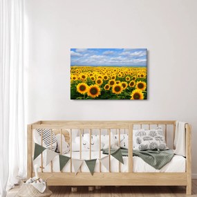 A napraforgó mező képe (90x60 cm)