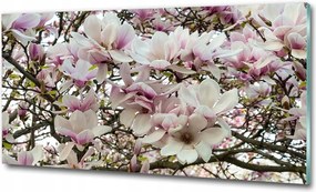 Fotótapéta üvegfalra Magnólia virágok 125x50