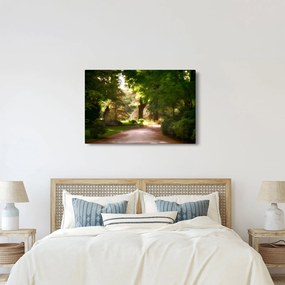 Park képe (90x60 cm)