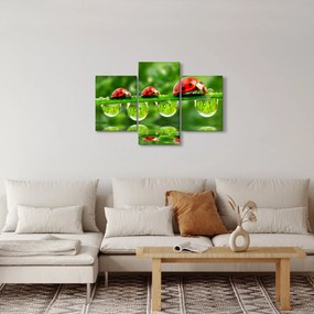 Kép - A hét nap napfénye (90x60 cm)