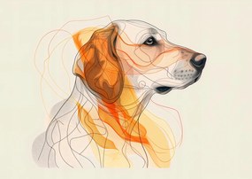 Poszter 42x29,7cm Profil kontúr