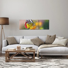 Egy pillangó képe a virágon (órával) (90x30 cm)