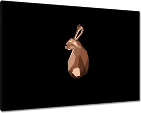 Képek 100x70 Nyuszi fekete alapon