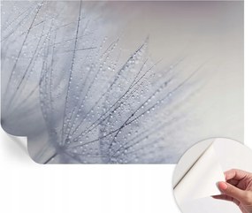 Dekoratív Öntapadós Tapéta Divatos Minták Pitypang Gyöngyös 104x70 cm