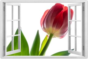 Poszter 90x60 Piros tulipĂĄn virĂĄg