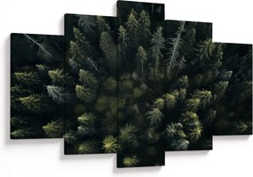 Kép - Forest (150x105 cm)