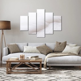 Kép - Fehér toll (150x105 cm)