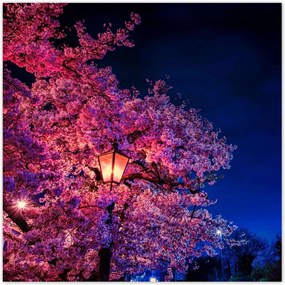 Poszterek 100x100 Hálószoba motívum Lámpa