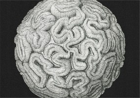 Fotótapéta Flizelin Design Divatos Gömb alakú szerkezet 312x219 Ragasztó