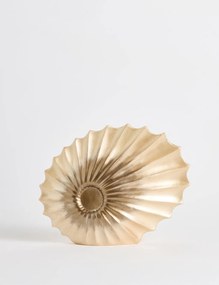 Seashell