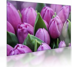 Kép - tulipánok (üvegen) (70x50 cm)
