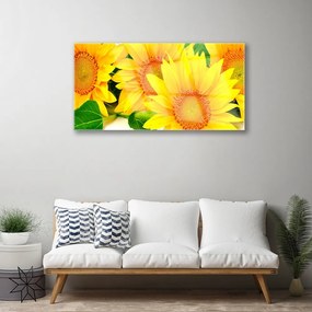 Üvegkép falra Napraforgó virág természet 125x50 cm