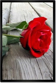 Poszterek keretben 40x60 Rózsa a deszkákon