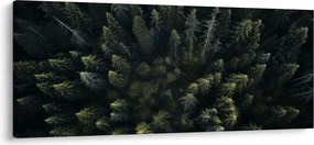 Kép - Forest (120x50 cm)