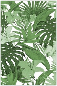 Poszterek 80x120 Monstera Modern minta