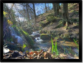 Poszterek keretben 40x30 Park napfelkeltekor