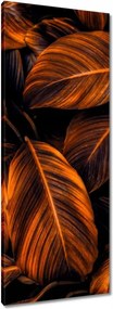 Vászonkép 40x100 Narancssárga levelek