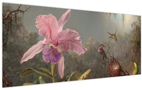 Kép - Martin Johnson Heade, Cattleya Orchid and Three Hummingbirds, reprodukciók (120x50 cm)